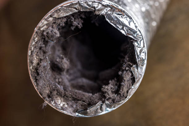 Best Affordable Air Duct Cleaning  in Kalama, WA